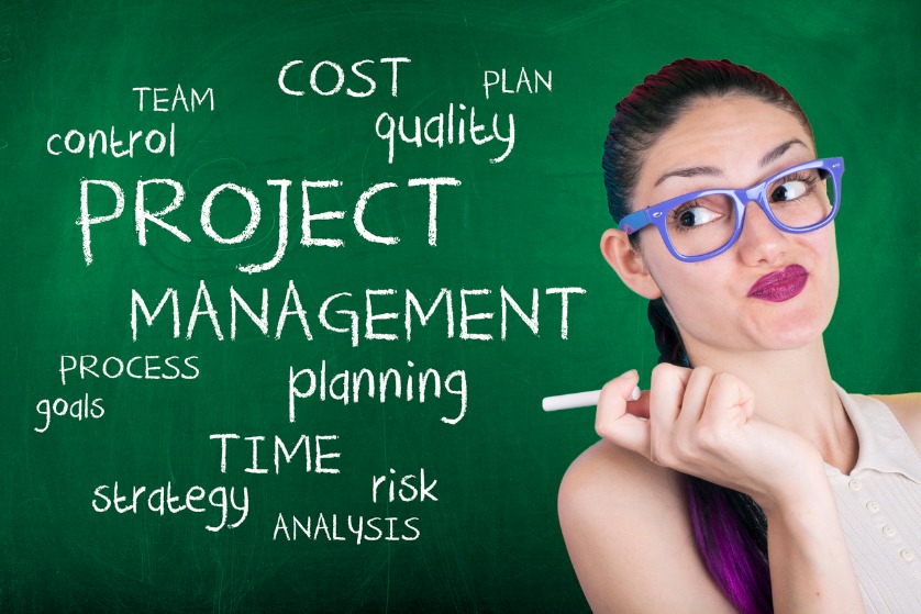 Course in Project Management - Project Management Quality Assurance
